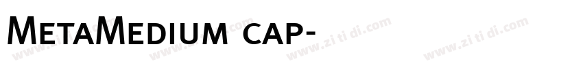 MetaMedium cap字体转换